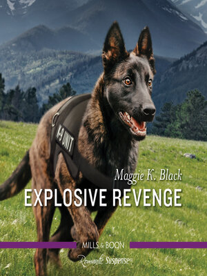 cover image of Explosive Revenge